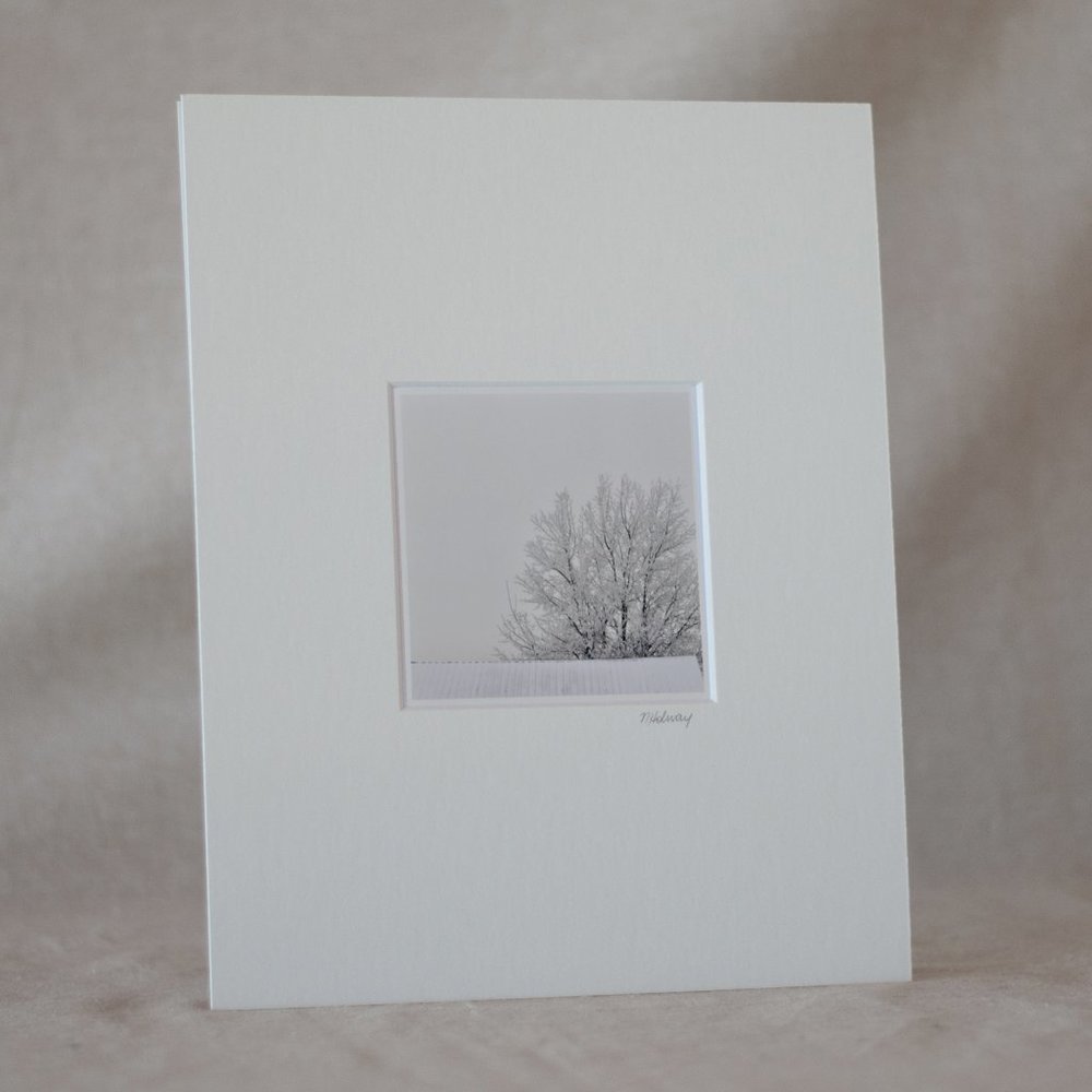 "Winter Study #4" Mini Photography Art Print